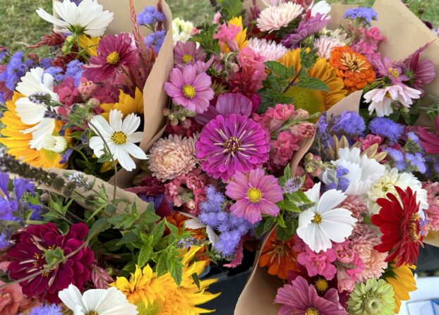 CSA Bouquets από το Dragon Song Farm