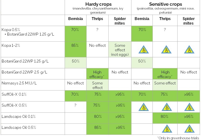 DIP Efficacy_including ακάρεα