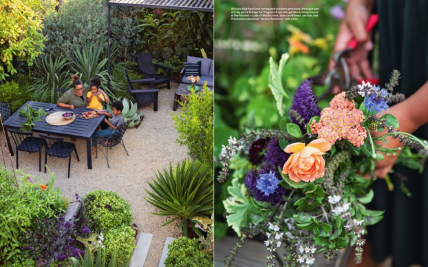Inside Garden Wonderland