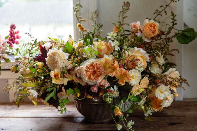 Lush Rose ρύθμιση στο στούντιο Floret