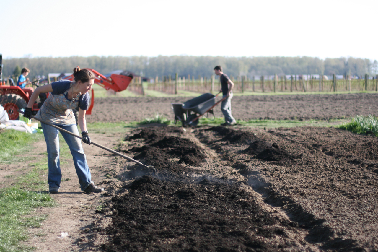 Erin Benzakein Raking Compost στο αγρόκτημα