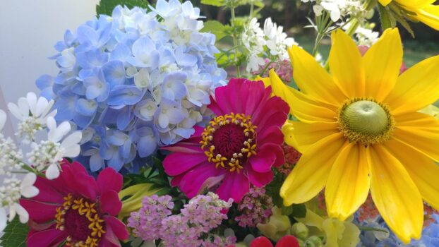 Λουλούδια στο Westwind Flower Farm & Studio
