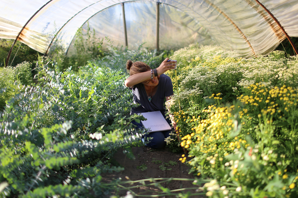 Erin Benzakein Γράφοντας σημειώσεις σε ένα ζεστό floret hoophouse