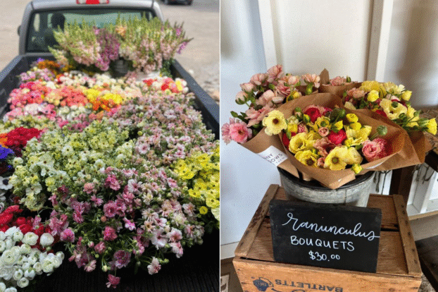 Σκηνές από το Sunny Meadows Flower Farm